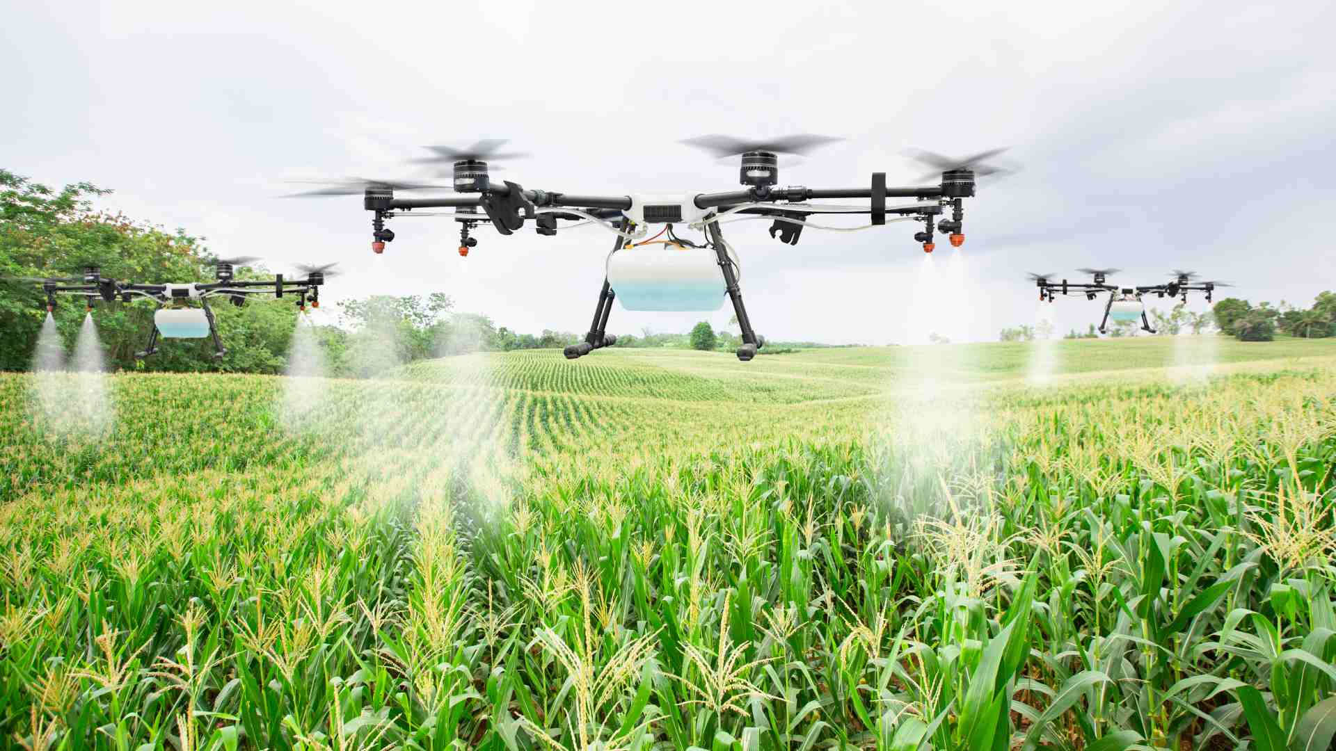 Precision on sale farming drones